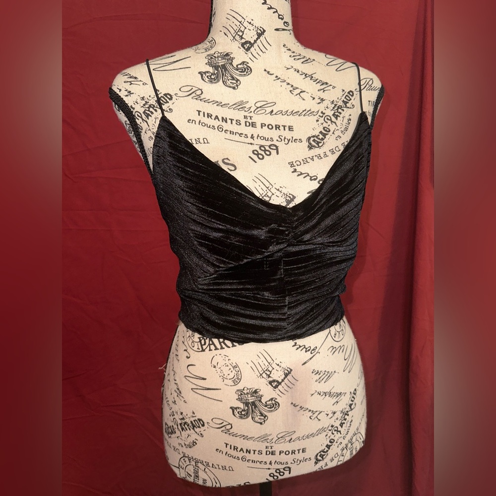 Wild Fable Black Velvet Crop - Picture 1 of 4